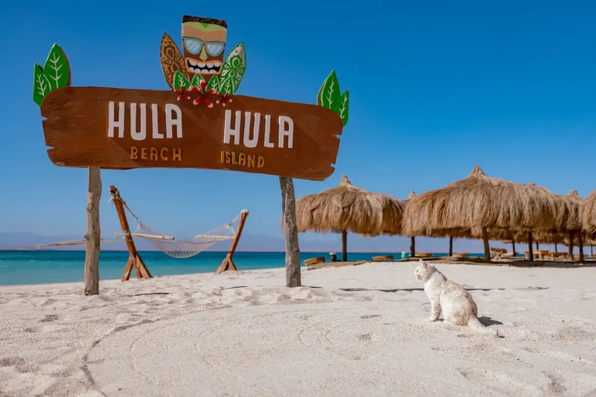 Enjoy snorkeling on Hula-Hula Island – Hurghada excursion