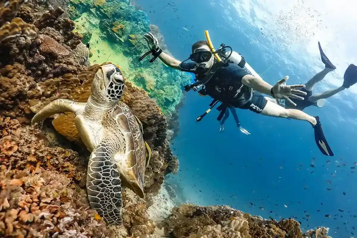 Scuba diving Red Sea coral reefs Hurghada