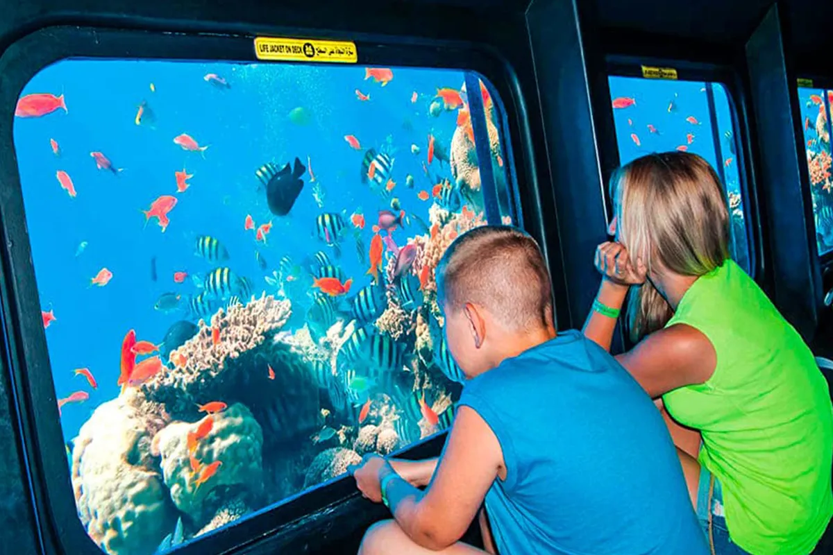 Explore underwater life – fun Hurghada thing to do